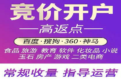 SEO百度推广策略：成功案例解析